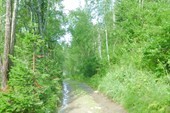 P1090260_новый размер